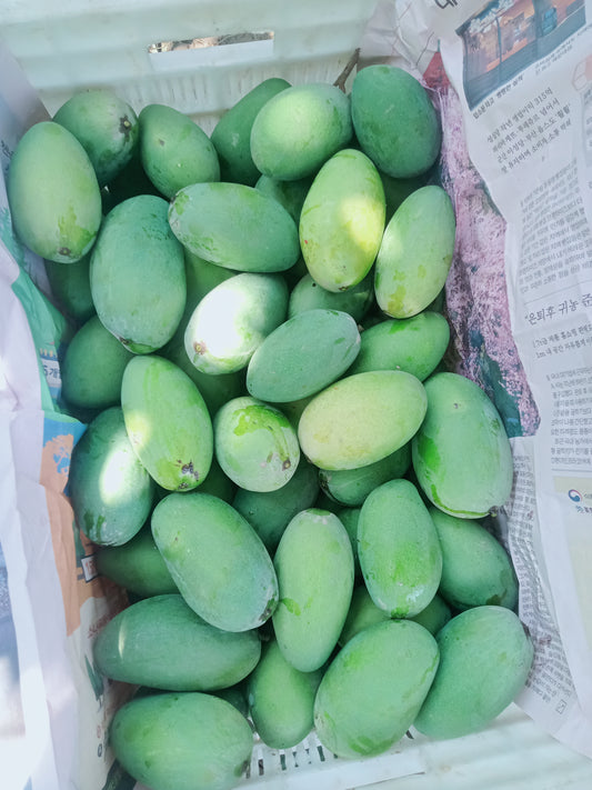 Dosehri Mango